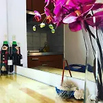 Apartment An&dy Split